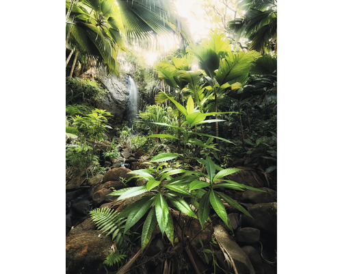 Dschungel mit Wasserfall und üppiger Vegetation