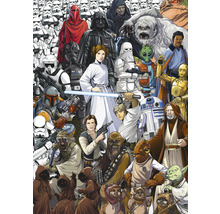 Illustration avec différents personnages de Star Wars