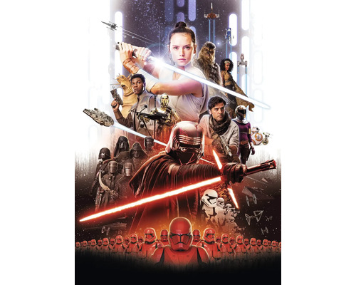 Fototapete Papier 4-4113 Disney Edition 4 Star Wars EP9 Movie Poster Rey 4-tlg. 184 x 254 cm Poster mit Charakteren aus Star Wars: Der Aufstieg Skywalkers
