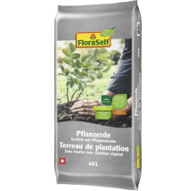 FloraSelf Terreau de plantation sans tourbe avec charbon végétal en sac de 40 litres