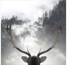 Dekoratives Bild mit Hirschgeweih und Wald im Nebel