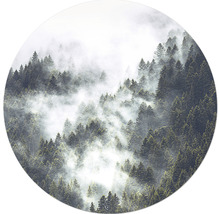 Nebliger Wald mit grünen Bäumen