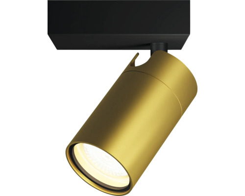 Spot de plafond/mural Idris 1 x GU10 5 W noir/or Spot LED couleur or pour montage au plafond