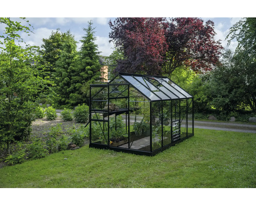 Gewächshaus im Garten mit Pflanzen und Regalen.