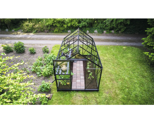 Gewächshaus mit Pflanzen im Garten