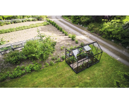 Gewächshaus im Garten mit Rasenfläche