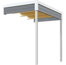 Abri de voiture en acier avec structure en bois