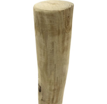 Bûche, tronc d'arbre