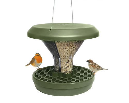 Mangeoire à oiseaux avec nourriture et deux oiseaux