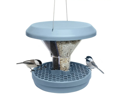 Vogelfutterhaus mit verschiedenen Futtersorten und zwei Vögeln