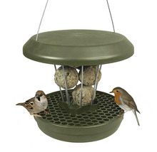 Mangeoire à oiseaux avec boules de graisse et deux oiseaux