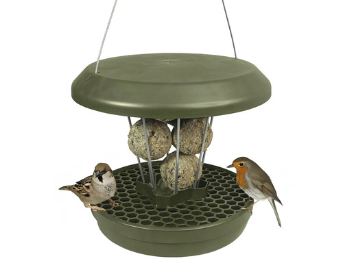 Mangeoire pour oiseaux vert Mangeoire à oiseaux avec boules de graisse et deux oiseaux