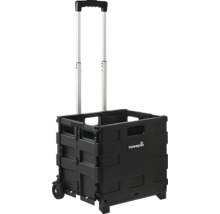 Faltbare Transportbox mit Rollen und Teleskopgriff