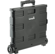 Chariot de courses pliable noir avec poignée et roues