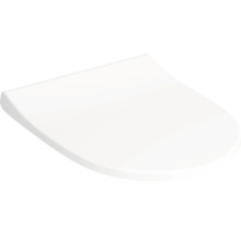 Toilettendeckel