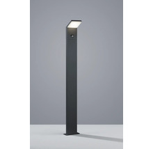 Borne lumineuse avec détecteur de mouvement