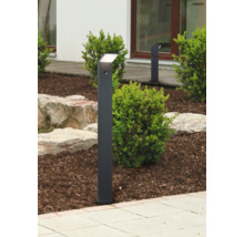 Luminaire d'extérieur avec détecteur de mouvement dans un jardin.