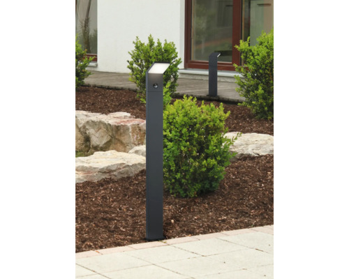 Aussenleuchte mit Bewegungsmelder in einem Garten.