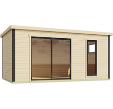 Abri de jardin avec porte coulissante et fenêtre