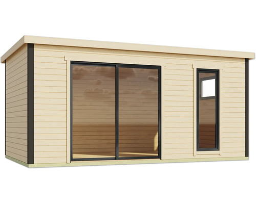 Abri de jardin avec porte coulissante et fenêtre