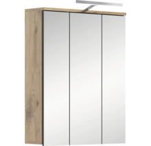 Spiegelschrank mit drei Spiegeltüren und Beleuchtung