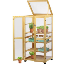 Châssis de culture en bois avec toit ouvrant et étagères pour plantes et herbes