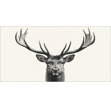 Illustration eines Hirsches mit Geweih