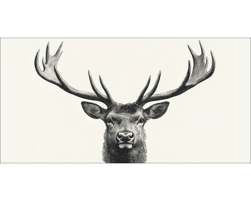 Leinwandbild Large Deer II 100x50 cm Illustration eines Hirsches mit Geweih