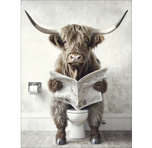 Illustrierte Highland Kuh auf Toilette beim Zeitunglesen