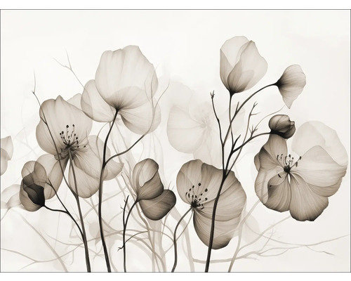 Leinwandbild Transparent Flowers VIII 77x57 cm Illustration von transparenten Blumen auf Stielen