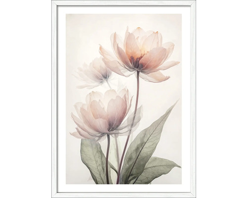 Gerahmtes Bild Transparent Flowers X 53x73 cm Gerahmtes Bild mit floralem Motiv für die Wandgestaltung