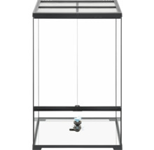 Terrarium avec système d'irrigation