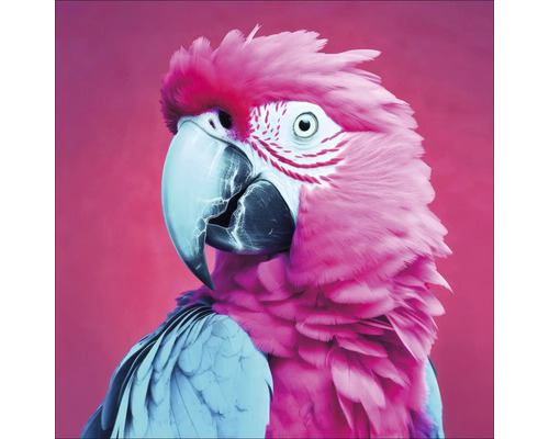 Glasbild Pink Blue Parrot 30x30 cm Porträt eines Papageis