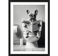 Schwarzweiß-Fotografie eines Hundes, der auf einer Toilette sitzt und eine Zeitung liest, gerahmt