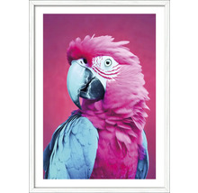 Gerahmtes Bild mit pinkem Papagei