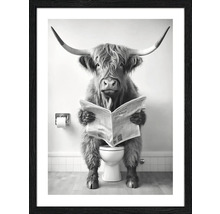 Gerahmtes Bild eines schottischen Hochlandrindes, das auf einer Toilette sitzt und eine Zeitung liest