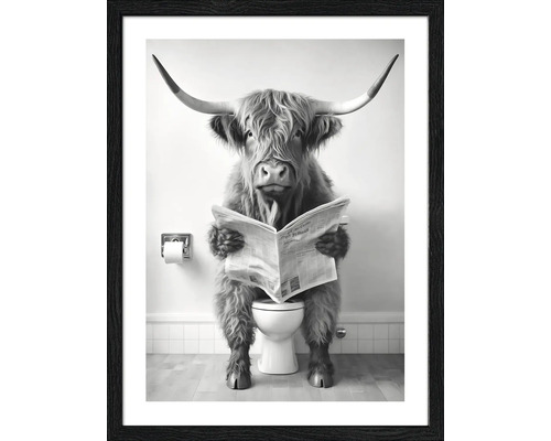 Gerahmtes Bild eines schottischen Hochlandrindes, das auf einer Toilette sitzt und eine Zeitung liest
