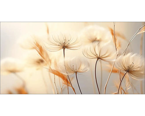 Leinwandbild Transparent Flowers VII 100x50 cm Nahaufnahme von filigranen, hellen Pflanzen mit zarten Samenständen