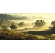 Nebel liegt über einer hügeligen Landschaft mit Bäumen und Gras.