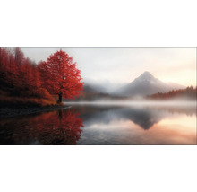 Landschaft mit See, Bäumen und Bergen im Nebel