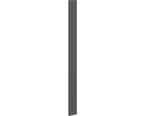 Pièce d'ajustement PICCANTE Smart pour meuble haut h: 194,4 cm l 14,6 cm anthracite mat "CE" Façade d'armoire pour meubles de cuisine et de salle de bains