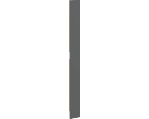 Pièce d'ajustement PICCANTE Smart pour armoire midi h: 159,2 cm l: 14,6 cm anthracite mat "CD" Porte d'armoire en gris