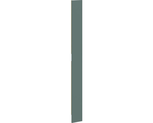 Pièce d'ajustement PICCANTE Smart pour armoire midi h: 159,2 cm l: 14,6 cm vert pierre mat "CD" Porte de placard