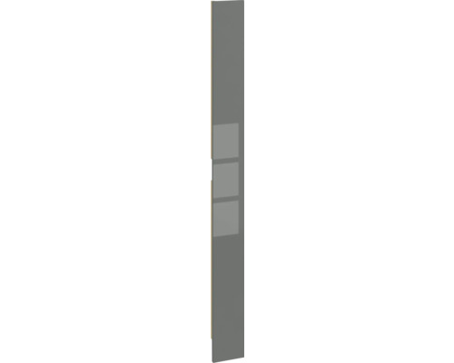 Pièce d'ajustement PICCANTE Smart pour armoire midi h: 159,2 cm l: 14,6 cm anthracite brillant "CD" Armoire haute étroite avec trois étagères