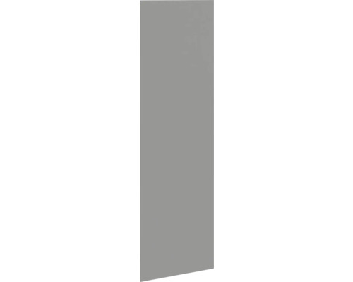 Côté de rechange PICCANTE Smart pour meuble haut h: 195,2 cm l: 55,5 cm gris basalte mat n°54 Façade de meuble de cuisine