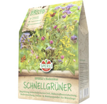 Paquet de graines Schnellbegrüner de Sperli avec illustration de différentes fleurs