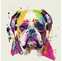 Illustration d'un chien avec des écouteurs et des lunettes