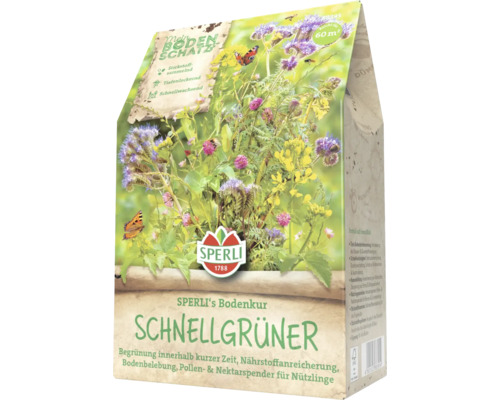 Paquet de graines Sperli's Bodenkur Schnellgrüner pour une surface de 60 m²