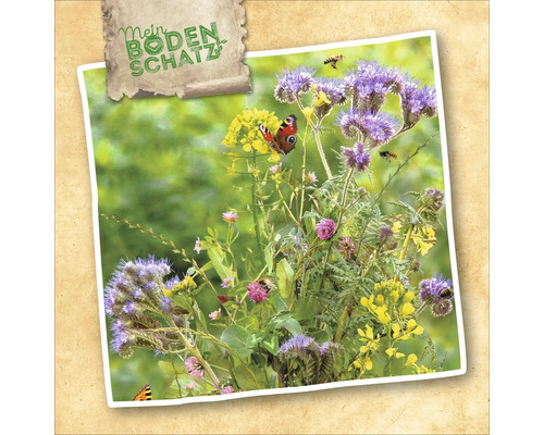 Mon trésor du sol Mélange de graines de fleurs avec différentes fleurs et insectes