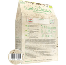 Paquet de graines Schnellgrüner de Sperli pour la santé du sol